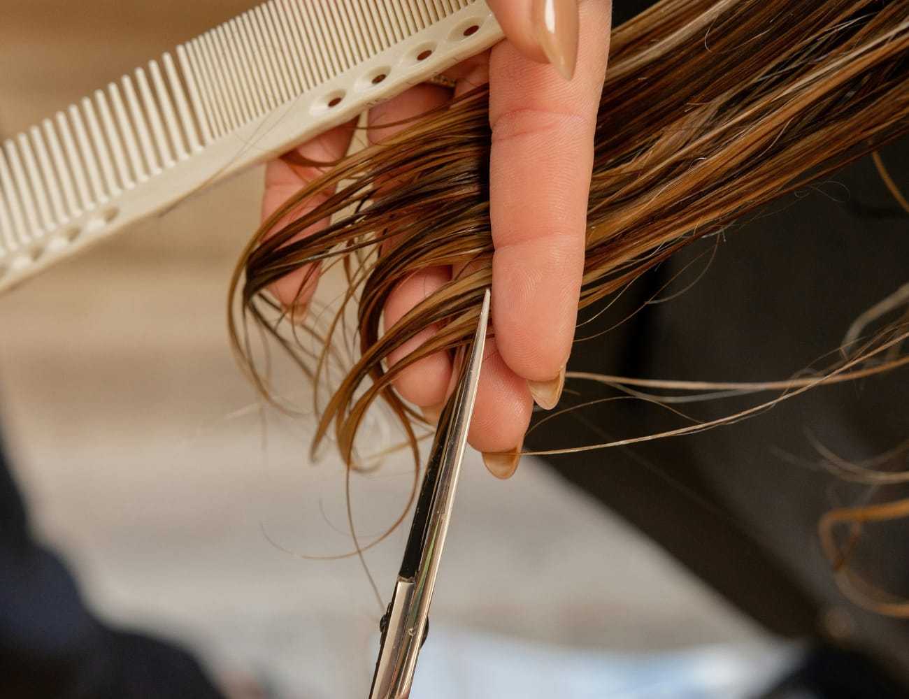 Hair being trimmed with scissors and comb in a close-up salon scene.